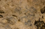 Dhofar Cave painting GI10523RM